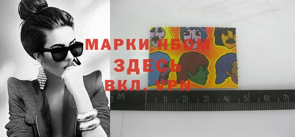 прущие грибы Няндома
